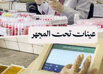 قبل أن تُباع أو تُصدّر ،المواشي تمر من هنا أولاً في مدينة حماة