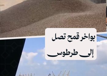وصول باخرة قمح إلى مرفأ طرطوس تحمل 30 ألف طن