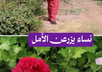 النساء في مشاتل الرقة، قصة صمود يومي وزراعة للأمل رغم التحديات