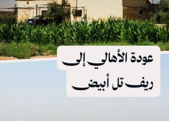 نازحو قرى تل أبيض يعودون تدريجيًا لزراعة أراضيهم وترميم بيوتهم بعد سنوات من الحرب