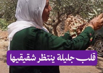 انتهى تنظيم الخوف.. ولم تنتهِ رحلة جليلة في البحث عن شقيقيها