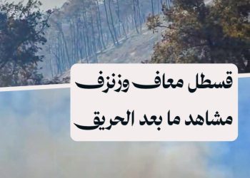 الحرائق تغير ملامح الغابات في قسطل معاف وزنزف بريف اللاذقية