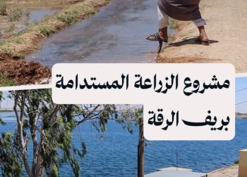 مشروع زراعي ينطلق بريف الرقة لتعزيز استدامة الزراعة والري