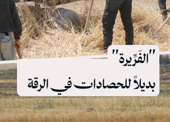 شباب من السبخة في ريف الرقة يبتكرون آلة لتقليل تكاليف الحصاد بدلًا من الحصادات التقليدية