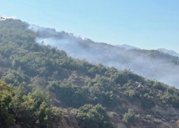 11 حريقاً في سهل الغاب منذ بداية 2025.. والنيران تتجدد في نبع الطيب