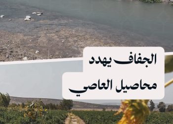 انحسار مياه نهر العاصي ينذر بأزمة زراعية في ريف إدلب