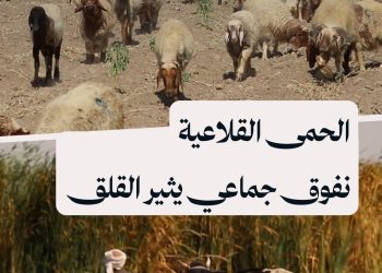 الحمى القلاعية تفتك بمواشي الرقة وسط غياب اللقاح وتحذيرات من وباء محتمل