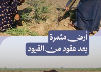 أمنية أبو رياض تتحقق.. بستان مثمر بعد التحرر من قيود الزراعة