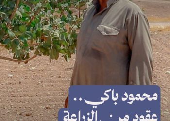 من الزيتون إلى الفستق.. حكاية مزارع أمضى عقوداً من حياته في زراعة أرضه بريف حلب