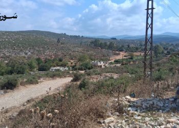 طرطوس بين الأمل بالتحسن والبحث عن لقمة العيش