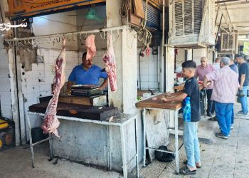 القامشلي: ارتفاع غير مبرر في أسعار لحم الغنم يثير قلق المستهلكين