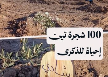 مبادرة لغرس 100 شجرة تين في ريف إدلب تكريماً لمن ضحوا بأرواحهم