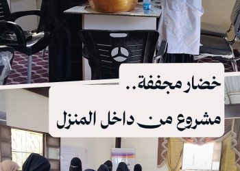 مشاريع صغيرة من داخل المنزل.. نساء بريف دير الزور يعملن بتجفيف الخضار