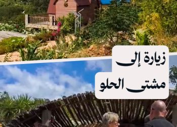 أكواخ خشبية وهواء نقي.. مشتى الحلو وجهة الباحثين عن الهدوء في طرطوس