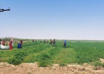 الرقة: شباب نازحون يحولون التحديات إلى قصة نجاح