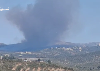 حريق يقضي على عشرات الدونمات بين حمص وطرطوس