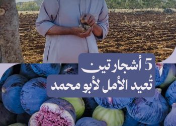 أشجار مقطوعة وألغام منتشرة في أرضه.. هذا ما وجده أبو محمد بعد عودته إلى كفرنبل