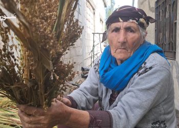 مكانس القش في سهل الغاب: حرفة الأجداد التي لم تنقرض