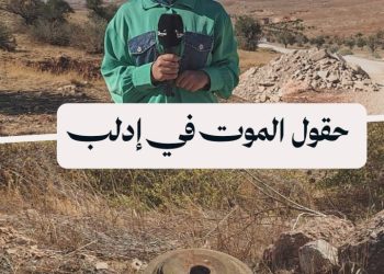 رحلة قطاف الزيتون.. من موسم الخير إلى صراع البقاء بين ألغام عابدين والقصابية