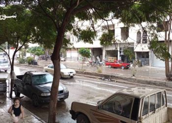 الكلاب الشاردة تتحول إلى “قطعان” في ضواحي دمشق