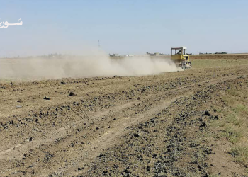 ارتفاع تكاليف الزراعة في ريف عامودا يهدد موسم الحصاد