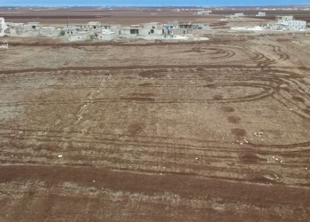 حماة: أكثر 700 دونم خارج الخدمة في الغاب بسبب الألغام