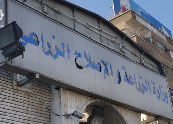 هل ينعش القرض الحسن آمال المزارعين ويدعم زراعة القمح في سوريا