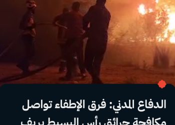 الدفاع المدني: فرق الإطفاء تواصل مكافحة حرائق رأس البسيط بريف اللاذقية