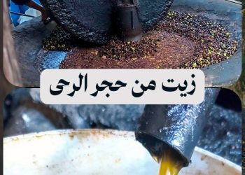 معصرة حجرية في ريف طرطوس تصمد أمام الحداثة وتورّث سر الزيت القديم