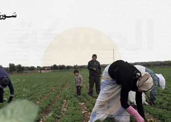 الحسكة: أزمة المياه تدفع المزارعين إلى البحث عن بدائل غير آمنة