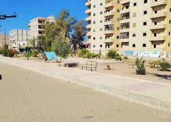 الرقة: مبادرة مجتمعية لتجميل حديقة الأطفال وتعزيز الوعي البيئي