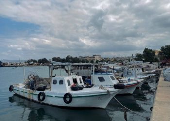 صيادو الساحل يطالبون بإنصافهم: القانون رقم 11 لا يراعي أوضاعهم