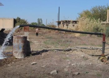 دير الزور: تحديات الري والأعلاف تعطل التعافي الزراعي والحيواني