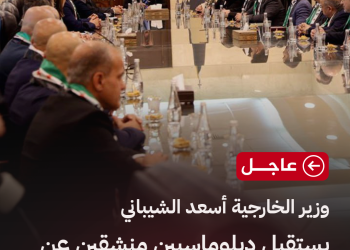 وزير الخارجية أسعد الشيباني يستقبل دبلوماسيين منشقين عن النظام ويصدر قرارًا بإعادتهم للعمل