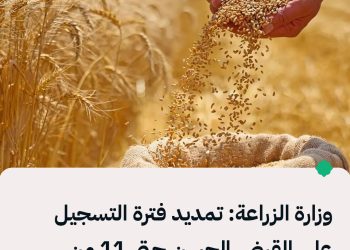 وزارة الزراعة: تمديد فترة تقديم طلبات الحصول على وثيقة التنظيم الزراعي وإجراء الكشف الحسي للتسجيل في القرض الحسن حتى يوم الخميس  11 الجاري