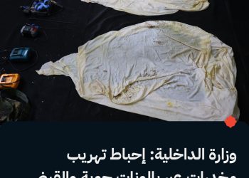 وزارة الداخلية: إحباط تهريب مخدرات عبر بالونات جوية والقبض على متورط في البادية