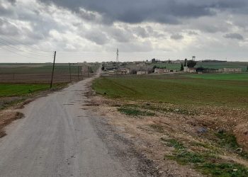 الحسكة: أمطار متأخرة تنقذ الزراعة وتنعش سوق المواشي برأس العين