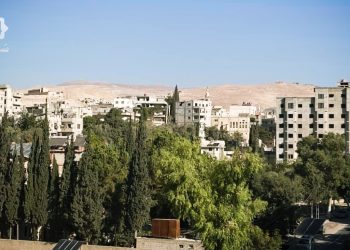 حملة تشجير واسعة في منطقة التل لمكافحة التصحر وإعادة الغطاء النباتي