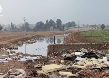 القامشلي: مياه الصرف الصحي تهدد سلامة الغذاء