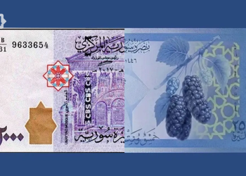 المصرف المركزي يقونن استبدال الليرة..وتوصيات لعبور آمن