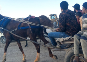 الطنبر في الرقة.. وسيلة تقليدية تصمد وسط تراجع الخدمات