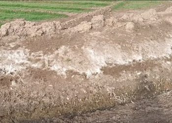 ريف دير الزور الشرقي: أزمة مياه و”تملّح” تهدد الأراضي الزراعية