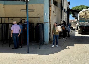 طرطوس: تفاوت في أداء الأفران وذروة الازدحام